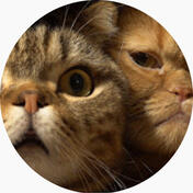 kittisaurus villains